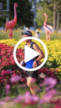 BIB:  <button type="button" onclick="openModal(27588616)" class="btn btn-primary btn-sm float-right" data-toggle="modal" data-target=".modal-high-quality">
                <i class="fa fa-download"></i> Download
                </button>